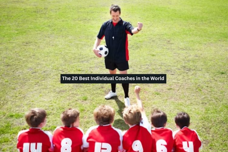 Individual Coaches